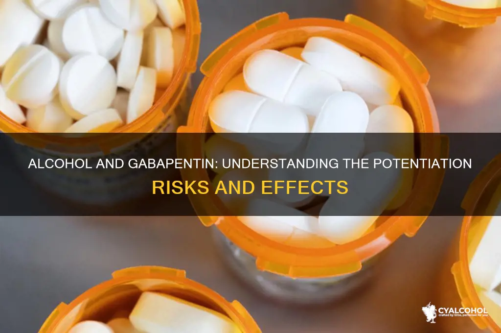 does alcohol potentiate gabapentin