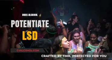 Alcohol and LSD: Exploring the Effects of Mixing Substances