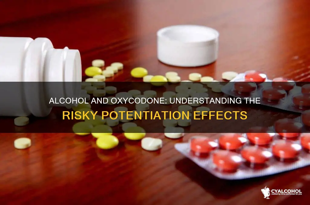 Alcohol And Oxycodone: Understanding The Risky Potentiation Effects ...