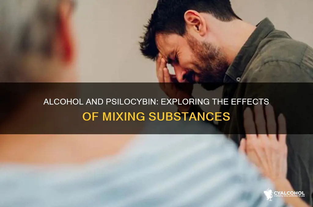 Alcohol And Psilocybin: Exploring The Effects Of Mixing Substances ...