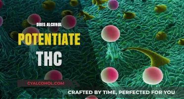 Alcohol and THC: How Drinking Enhances Cannabis Effects Explained