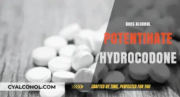 Alcohol and Hydrocodone: Risky Combination or Enhanced Effects?