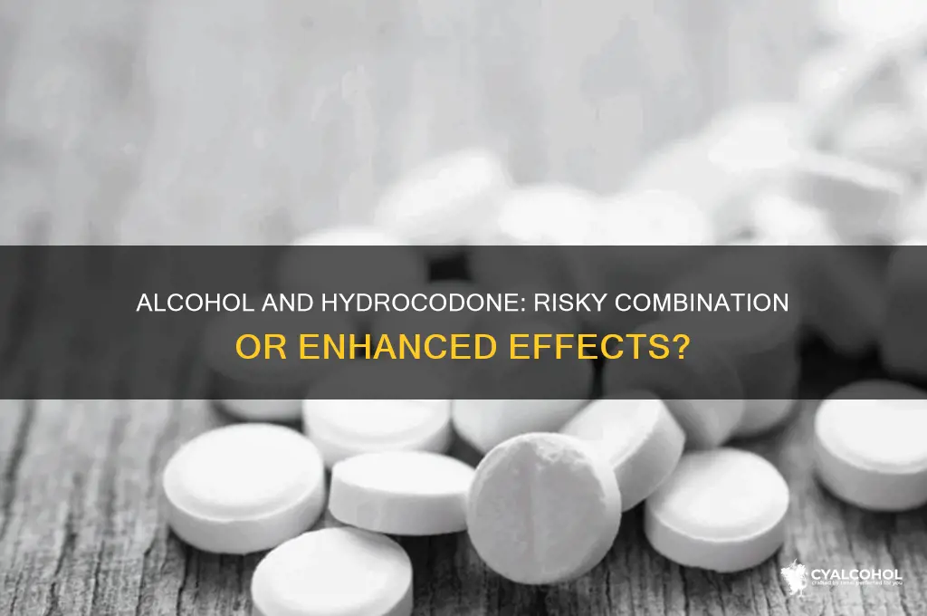 does alcohol potentihate hydrocodone