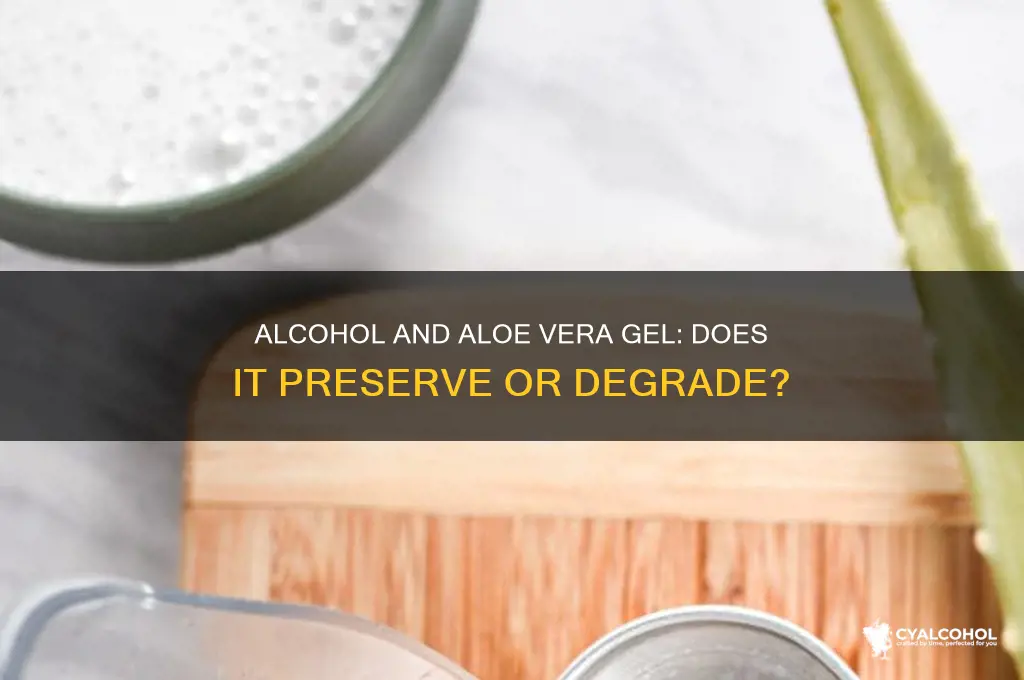 does alcohol preserve aloe vera gel