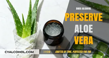 Exploring the Myth: Does Alcohol Really Preserve Aloe Vera?