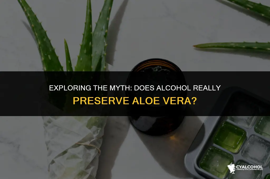 does alcohol preserve aloe vera