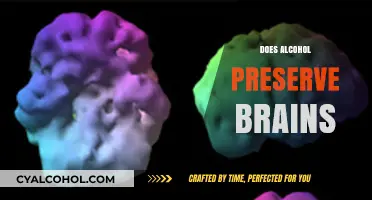 Alcohol's Brain Preservation Myth: Fact or Fiction? Unveiling the Truth
