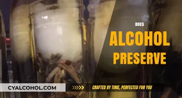 Does Alcohol Preserve Food? Exploring Its Role in Food Storage