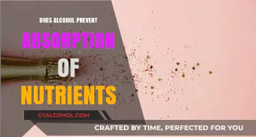 Alcohol's Impact: How Drinking Hinders Nutrient Absorption and Health