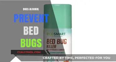 Unraveling the Myth: Alcohol's Efficacy Against Bed Bug Infestations