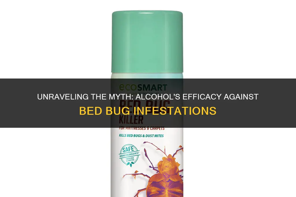 does alcohol prevent bed bugs