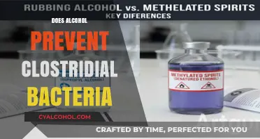 Exploring the Myth: Can Alcohol Really Ward Off Clostridial Bacteria?