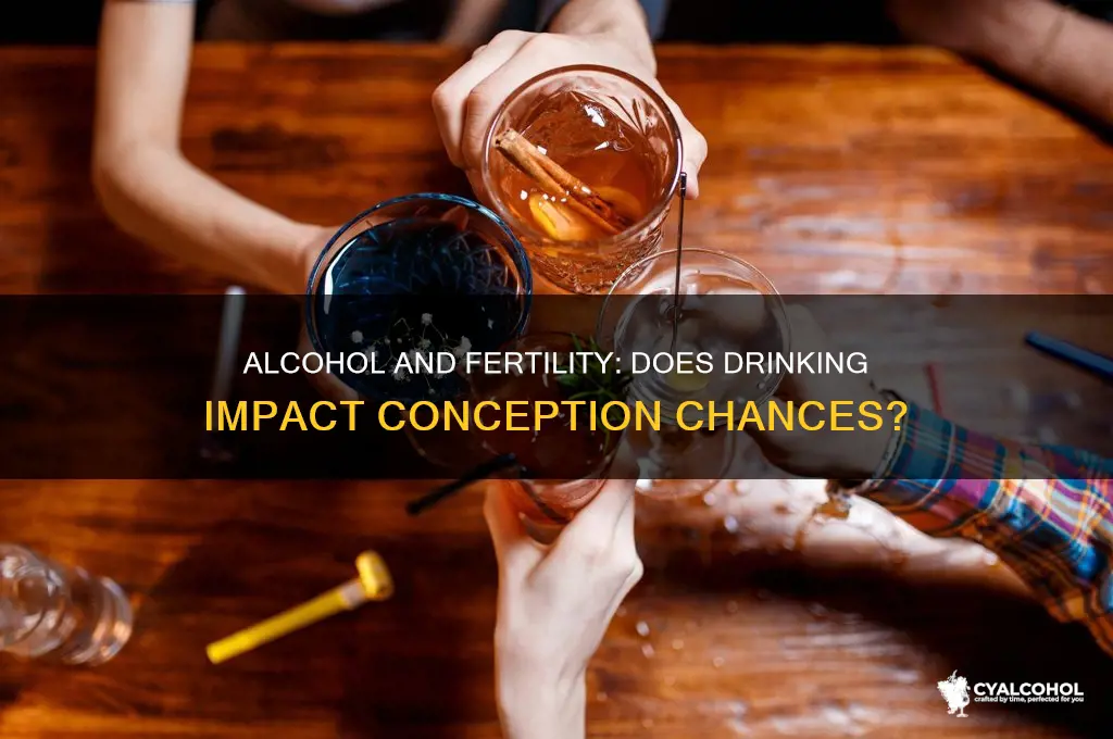 does alcohol prevent conception