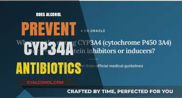 Exploring the Myth: Alcohol's Impact on CYP3A4 Antibiotics