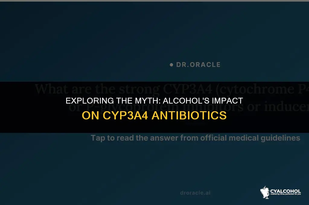 does alcohol prevent cyp34a antibiotics