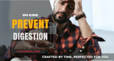 Alcohol's Impact on Digestion: Does It Hinder Nutrient Absorption?