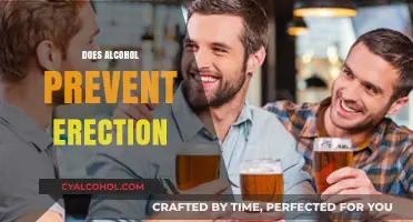 Alcohol and Erectile Function: Debunking Myths and Understanding the Impact