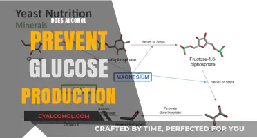 Exploring the Myth: Does Alcohol Really Halt Glucose Production?