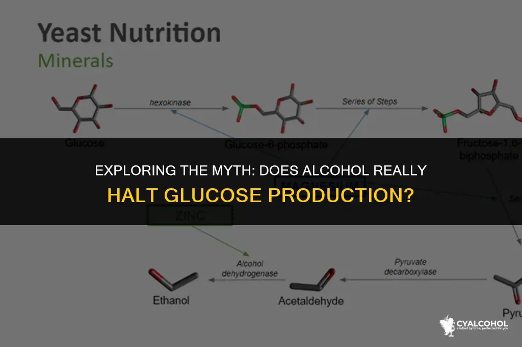 does alcohol prevent glucose production