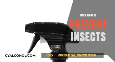 Alcohol as Insect Repellent: Myth or Effective Natural Solution?