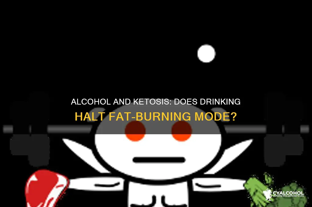 does alcohol prevent ketosis