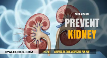 Alcohol and Kidney Health: Debunking Myths and Understanding Risks