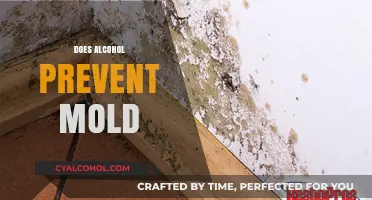 Alcohol's Role in Mold Prevention: Fact or Fiction?