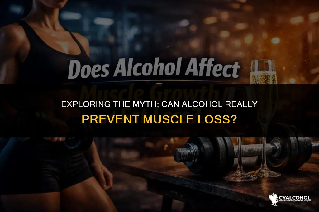 does alcohol prevent muscle loss