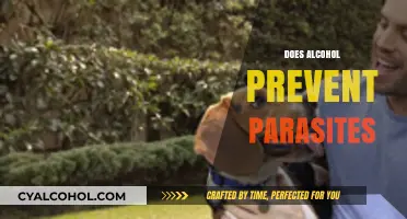 Alcohol and Parasites: Debunking Myths About Its Preventive Effects