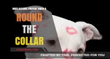 Alcohol and Collar Stains: Myth or Effective Ring-Around-the-Collar Remedy?