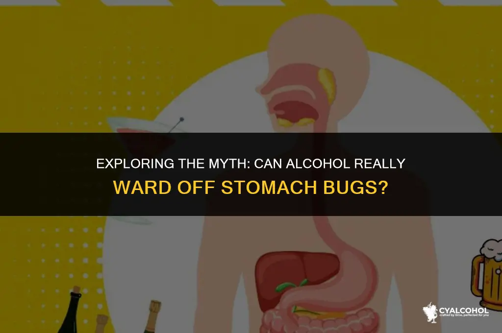 does alcohol prevent stomach bugs