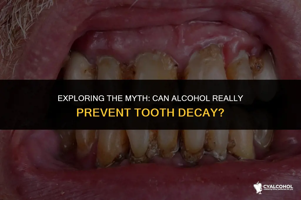 does alcohol prevent tooth decay