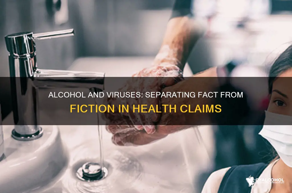 does alcohol prevent virus