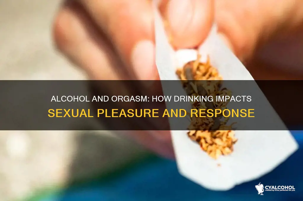 does alcohol prevent you from having an organism