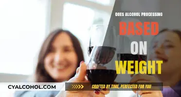 Does Alcohol Metabolism Differ Based on Body Weight?