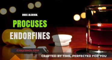 Does Alcohol Release Endorphins? Unraveling the Science Behind the Buzz