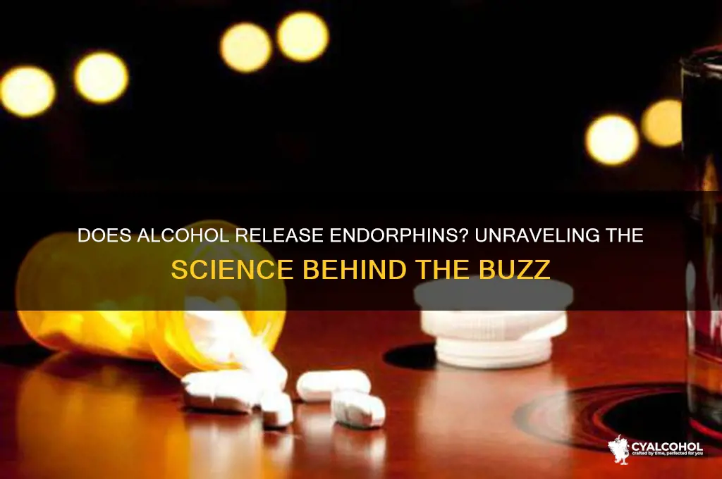 does alcohol procuses endorfines
