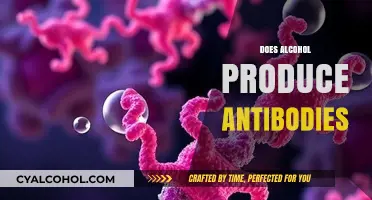 Alcohol and Immunity: Does Drinking Produce Antibodies or Weaken Defense?