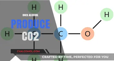 Alcohol's Carbon Footprint: Does Drinking Contribute to CO2 Emissions?