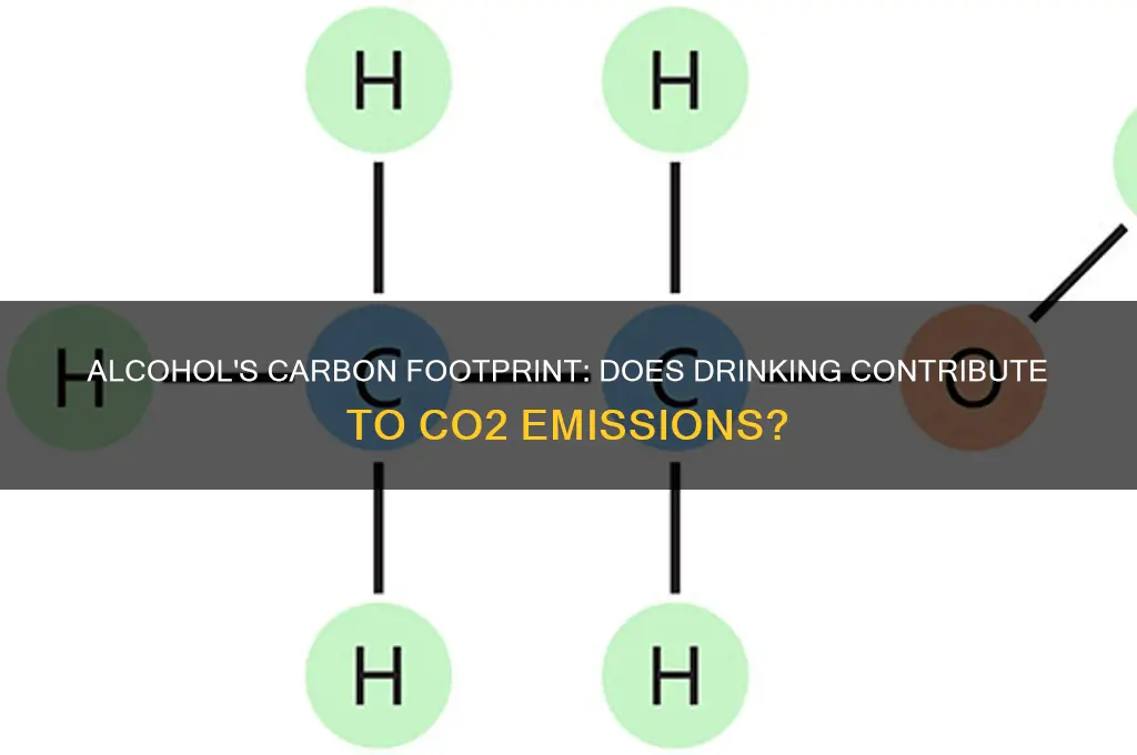does alcohol produce co2