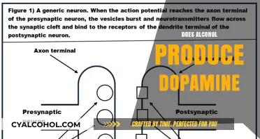 Alcohol and Dopamine: Unraveling the Brain's Reward System Connection