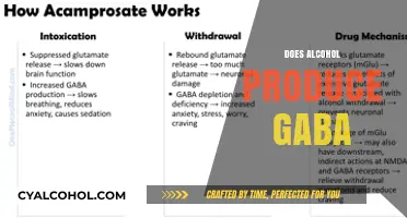 Does Alcohol Boost GABA Production? Unraveling the Brain Chemistry Connection