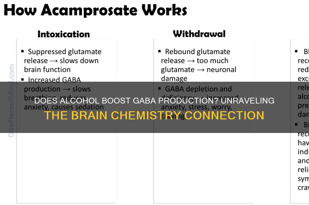 does alcohol produce gaba