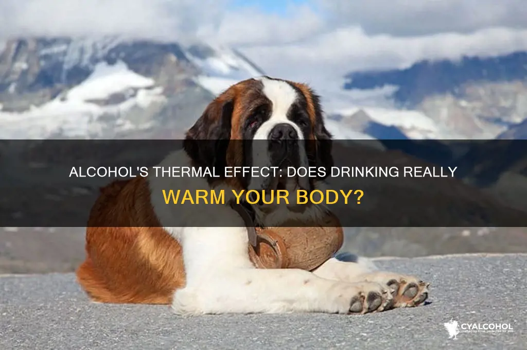 does alcohol produce heat