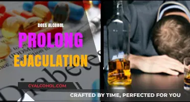 Alcohol and Ejaculation: Does Drinking Really Delay the Climax?