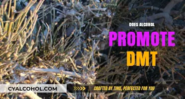 Alcohol and DMT: Unraveling the Myth of Psychedelic Enhancement