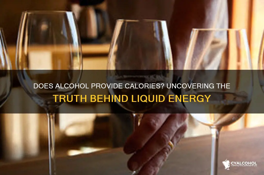 does alcohol provide calories