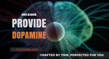 Alcohol and Dopamine: Unraveling the Brain's Reward System Connection