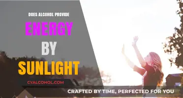 Sunlight and Alcohol: Unraveling the Energy Myth