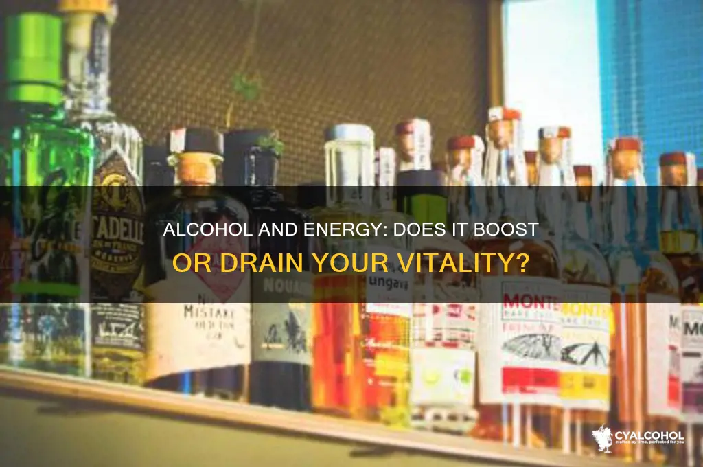 does alcohol provide energy